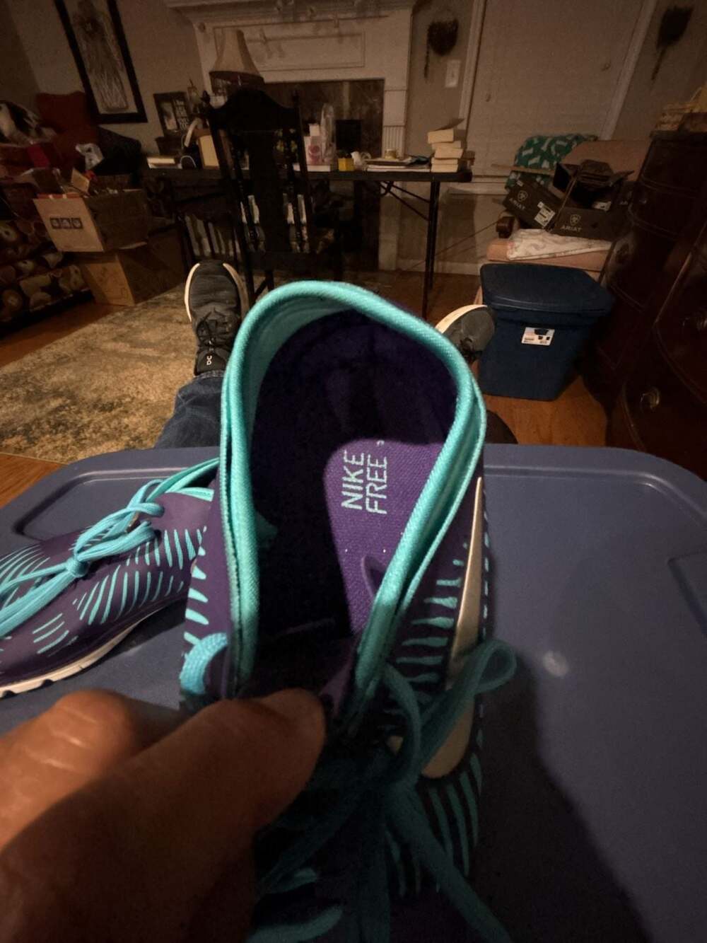 Nike Free Balanza 3.0 Purple Blue Women's Running Shoes Sneakers 599268-500